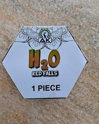 H20
