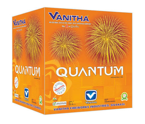 Quantum Robot